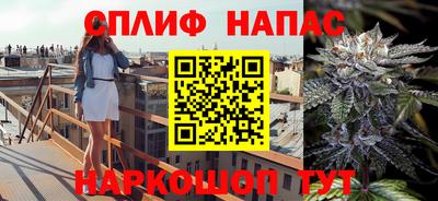 PSILOCYBIN Славгород