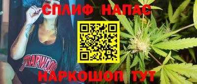 наркотики Сланцы